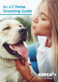 Image of E-book An A-Z Home Grooming Guide