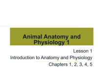 Image of E-book Animal Anatomy and Physiology 1