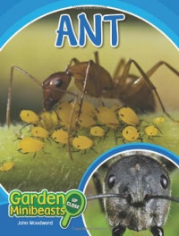 Image of E-book Ant (Garden Minibeasts Up Close)