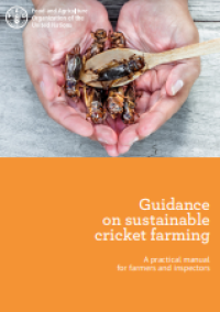 Image of E-book Guidance on Sustainable Cricket Farming