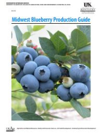 Image of E-book Midwest Blueberry Production Guide