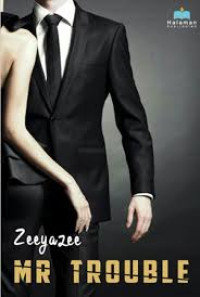 Image of E-Book Mr. Trouble