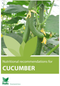 Image of E-book Nutriotional Recommendation for Cucumber