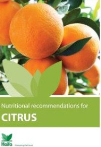 Image of E-book Nutritional Recommendations for Citrus