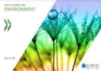 Image of E-book OECD Work on Environment