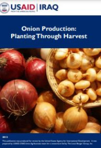 Image of E-book Onion Production : Planting Through Harvest