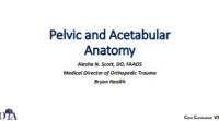 Image of E-book Pelvic and Acetabular Anatomy