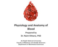 Image of E-book Physiology and Anatomy of Blood