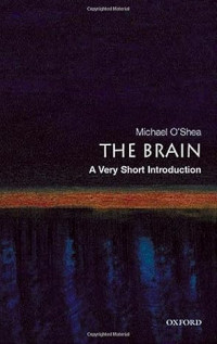 Image of E-book The Brain: A Very Short Introduction