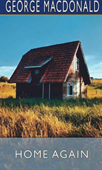 Image of E-book Home again