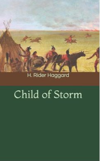 Image of E-book Child of storm