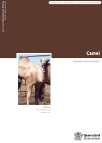 Image of E-book Camel Risk Management