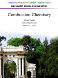 Image of E-book Combustion Chemistry
