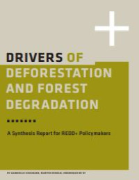 Image of E-book Drivers of Deforestation and Forest Degradation