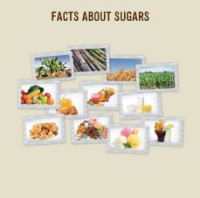 Image of E-book Facts About Sugars