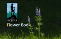 Image of E-book Flower Book