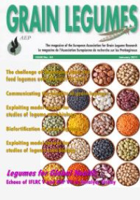 Image of E-book Grain Legumes