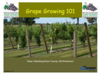 Image of E-book Grape Growing 101