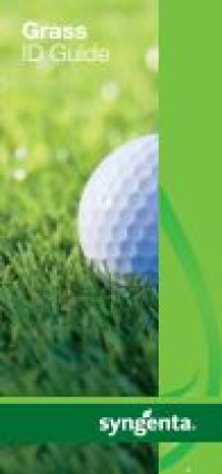 Image of E-book Grass Id Guide