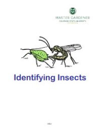 Image of E-book Identifying Insects