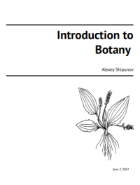Image of E-book Introduction to Botany