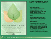 Image of E-book Leaf Terminology