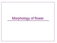 Image of E-book Morphology of Flower