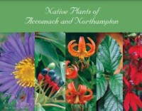Image of E-book Native Plants of Accomack and Northampton Natives
