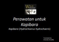 Image of E-book Perawatan untuk Kapibara