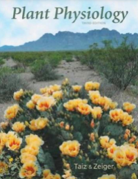 Image of E-book Plant Physiology