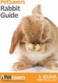 Image of E-book Rabbit Guide