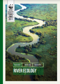 Image of E-book River Ecology