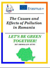 Image of E-book The Causes and Effects of Pollution in Romania