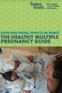 Image of E-book The Healthy Multiple Pregnancy Guide