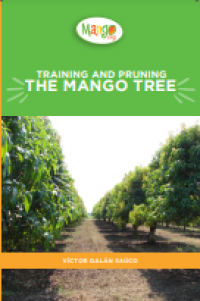 Image of E-book The Mango Tree : Training and Pruning