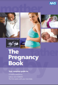 Image of E-book The Pregnancy Book
