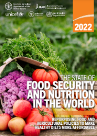 Image of E-book The State of Food Security and Nutrition in the World 2022
