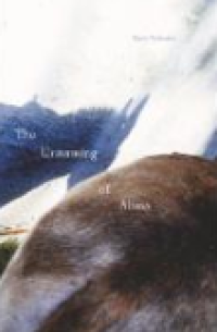 Image of E-book The Unnaming of Aliass