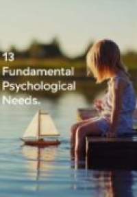 Image of E-book Thirteen Fundamental Psychological Needs