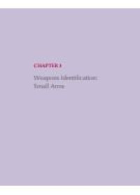 Image of E-book Weapons Identification