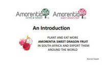Image of E-book An Introduction to Dragon Fruit